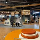 ABC마트 | 경산 이마트 스타필드마켓 층별 안내 / 다이소, 무인양품, ABC 마트 등 쇼핑 후기