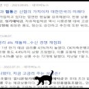 신용협동조합중앙회 네이버블로그