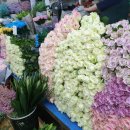 일흥꽃집 이미지