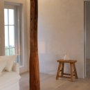 스테이 띠앗 이미지