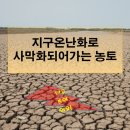 GLOBAL 행정사 사무소 이미지