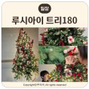 180 | 루시아이 트리 180 내돈내산 솔직 후기 루시아이 조명일체형 설치방법
