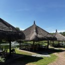 먹이팜 | 보홀 아이와 가볼만한 곳｜사우스팜 농장 방문 후기 – 동물 먹이주기 체험