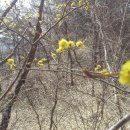 안줄농장 이미지