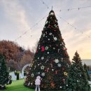 옷사랑빨래터 | 2025대구앞산 크리스마스 축제 / 앞산 겨울정원 다녀온 후기(인공눈 내리는 시간 및 주차)