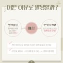 이너시티주 이미지