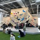 캐치스톤 클라이밍짐 이미지