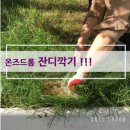 한일폐백 이미지