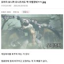 몬스터헌터 라이즈 한국어판 폰트 논란 이미지