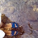 솜반내(솜반천) 이미지