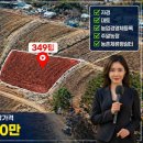현덕농장 네이버블로그