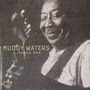 Honey Bee - Muddy Waters - 이미지