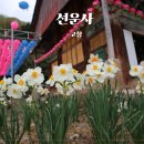 곡성-242 | 드라마 녹두꽃 촬영지 고창 가볼만한곳 선운사 주차, 입장료 방문후기