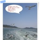 인천 석모도 섬의 해수 온천을 다녀와서 이미지