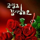 오시다 이미지
