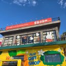 핑구와 미피가 감귤을 입었다고? 제주 소품샵 투어중 심쿵사 당할 뻔한 귤귤스토어 솔직후기