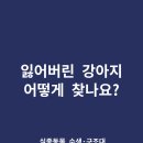 지드론 이미지