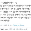 콩깍지 이미지