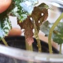 가야농약사 이미지