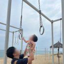 해변의 꿈 | 강문해변 머슬비치 후기, 아이 동반 가족여행 완전정복 꿀팁 (주차장 위치포함)