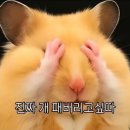와인ZIP