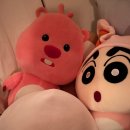 나! 박이야 이미지