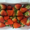 화정온한의원 이미지