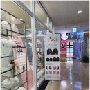 앨리스브로우 이미지