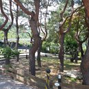 가평소나무팬션 이미지