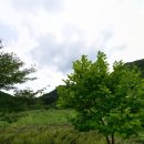 배연주공인중개사사무소 이미지