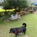 별이 뜨는 집 이미지