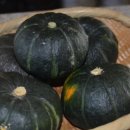 바노마트 이미지