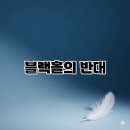 화이트홀 이미지