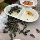 이층회식당 네이버블로그