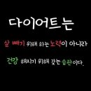 예스점핑다이어트 이미지