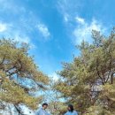 혜정목장 이미지