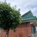 하길중학교 | 고향에서의 소중한 추억, 중학교 동창회 친목 모임 후기