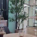 서귀포시니어클럽 이미지