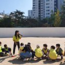 강릉초등학교 이미지