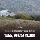 청마유치환시비 | [부산 산길 역사의 발자취를 찾아서] 1코스ㅣ승학산, 억새풀을 머금고학이 날아오르다