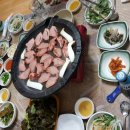 명가오리천국 이미지