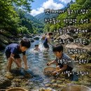 고 향 추 억 이미지