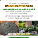 (주)희망조경 이미지