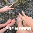 청계천 물 첨벙첨벙 후기 | 서울 도심 한복판 물놀이 아쿠아슈즈·돗자리·의자 무료대여