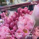 103HOUSE | 105. 나그네의 상해 하늘 일기🌤｜마키하우스(MAKI HOUSE), 알디 제품 추천, 흑백요리사 '치킨프리카세...