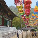 동산초등길 이미지