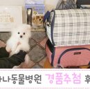 가나동물병원 이미지