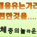 주식회사 녹색약품 이미지