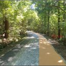 서귀포자연휴양림 이미지