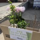 알오티씨상조서비스